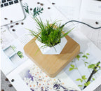 Levitating Poly-Flower Pot