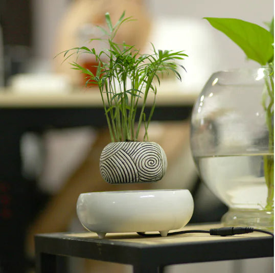 Levitating Poly-Flower Pot