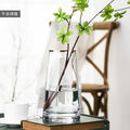 Luxury Gold Trim Glass Vase for Nordic Minimalist Decor