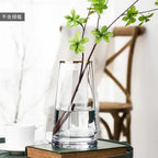 Luxury Gold Trim Glass Vase for Nordic Minimalist Decor