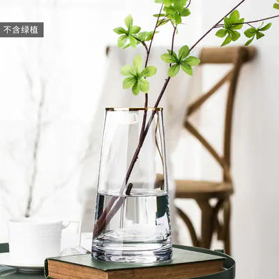 Luxury Gold Trim Glass Vase for Nordic Minimalist Decor