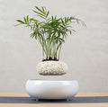 Levitating Poly-Flower Pot