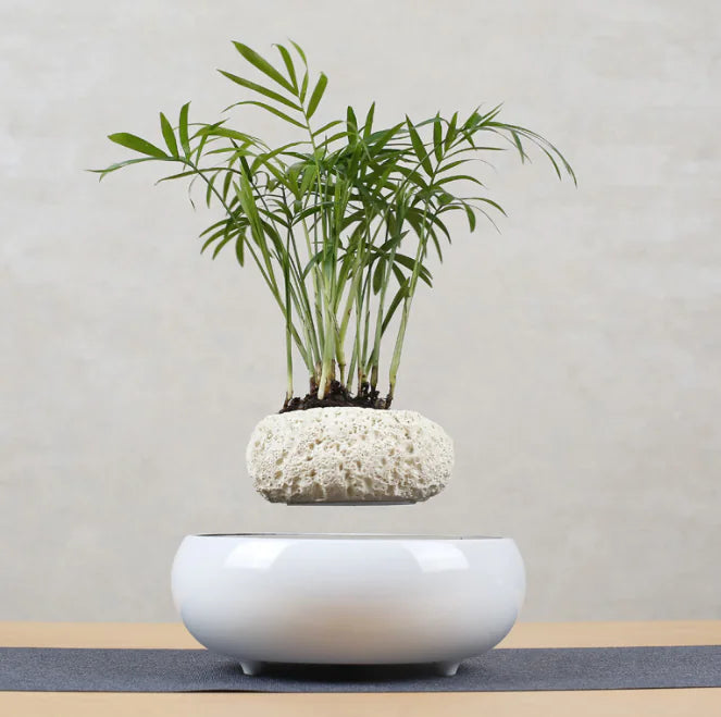 Levitating Poly-Flower Pot