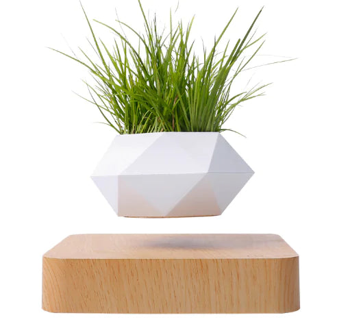 Levitating Poly-Flower Pot