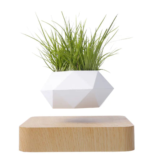 Levitating Poly-Flower Pot