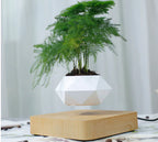 Levitating Poly-Flower Pot