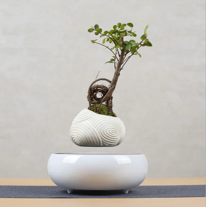 Levitating Poly-Flower Pot