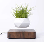 Levitating Poly-Flower Pot