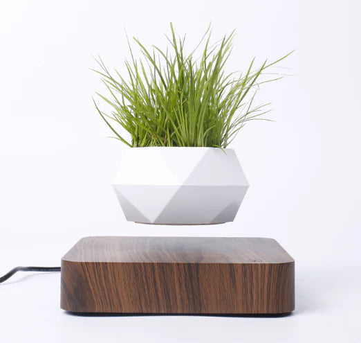 Levitating Poly-Flower Pot